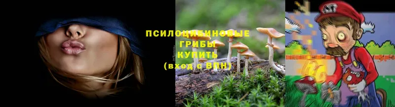 Псилоцибиновые грибы Magic Shrooms  купить закладку  Алушта 